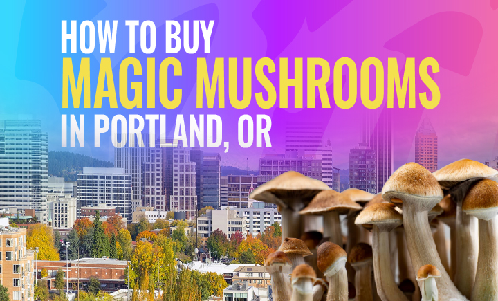 how to buy magic mushrooms in portland oregon