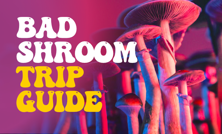bad shroom trip guide