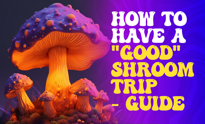 how to have a good shroom trip