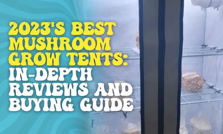 2023s best mushroom grow tents - in depth reviews and buying guide