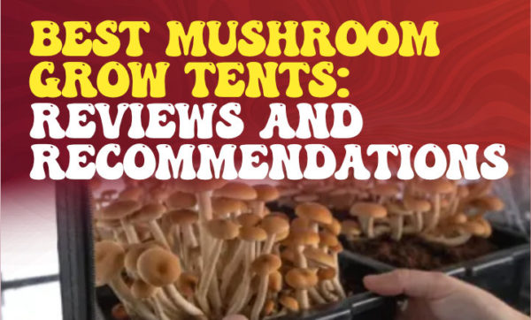 2023's Best Mushroom Grow Tents: In-Depth Reviews And Buying Guide ...