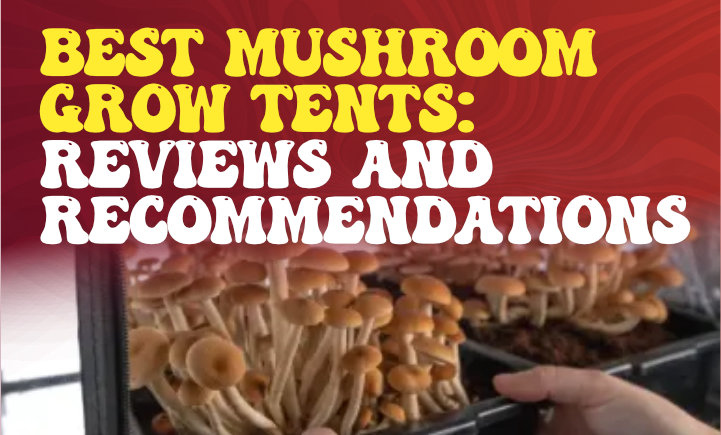 best mushroom grow tents - reviews and recommendations