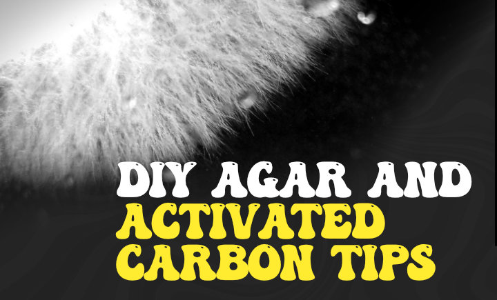 diy agar and activated carbon tips