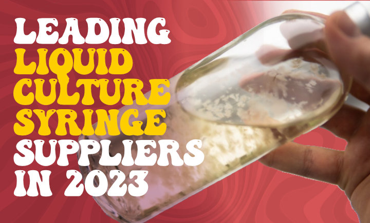 leading liquid culture syringe suppliers in 2023