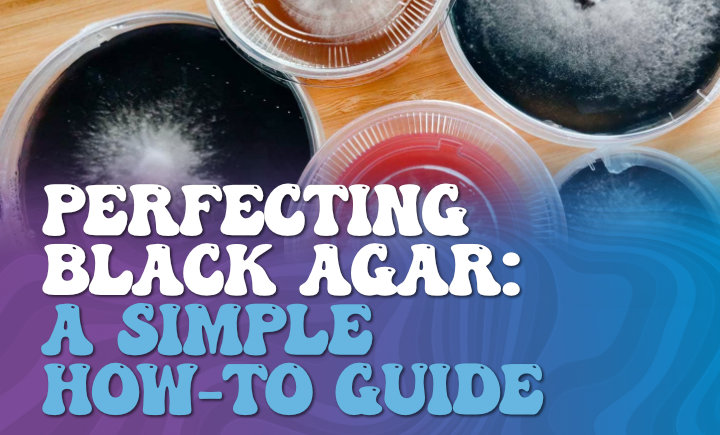 perfecting black agar - a simple how to guide