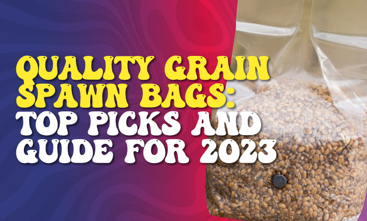 quality grain spawn bags top picks and guide for 2023