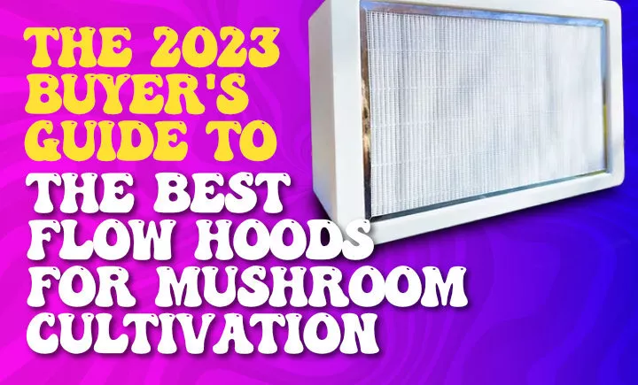 the 2023 buyers guide to the best flow hoods for mushroom cultivation