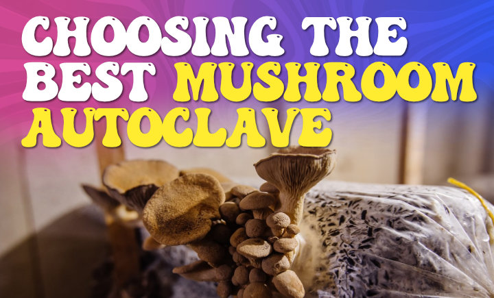 choosing the best mushroom autoclave