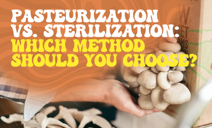 pasteurization vs sterilization - which method should you choose