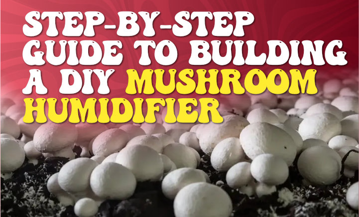 step by step guide to building a DIY mushroom humidifier