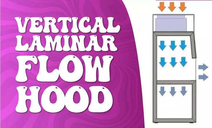 vertical laminar flow hood