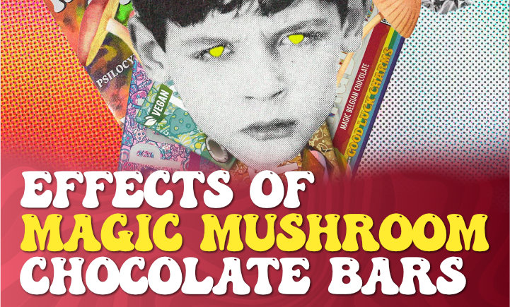 effects of magic mushroom chocolate bars