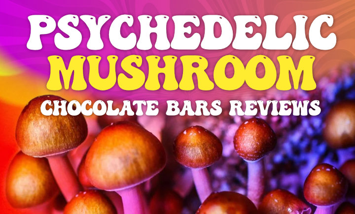 psychedelic mushroom chocolate bar reviews