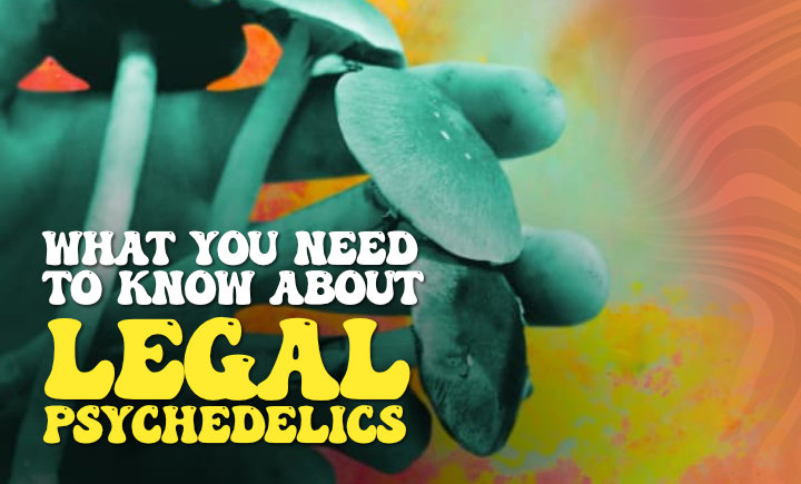 what you need to know about legal psychedelics