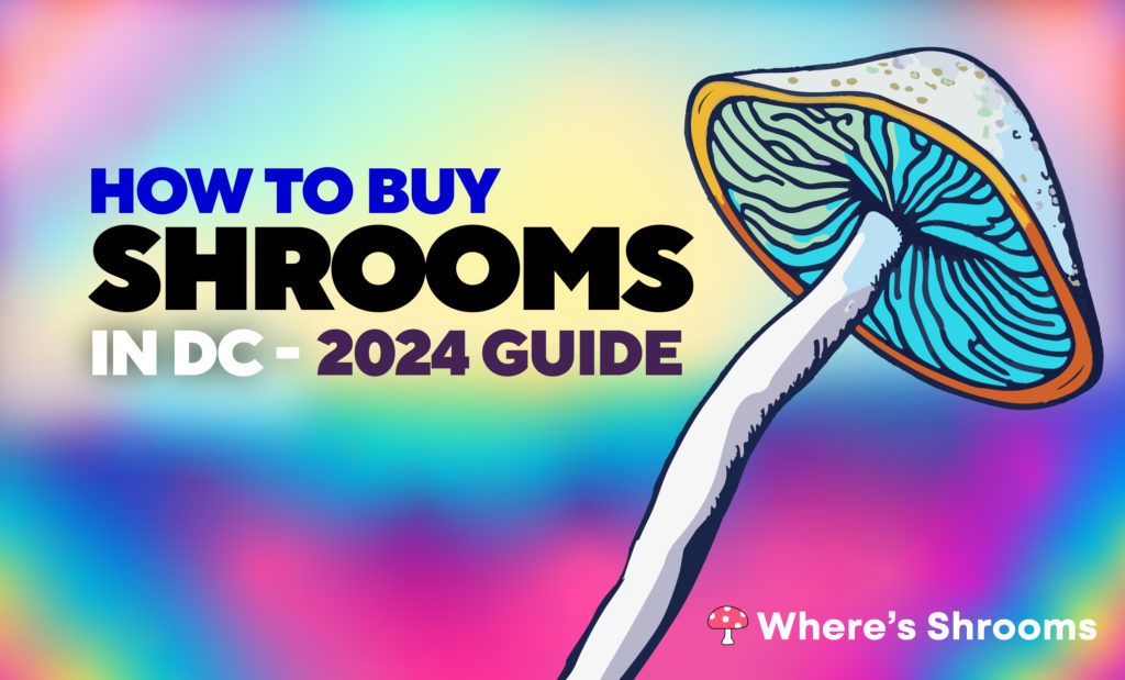 How to buy shrooms in dc