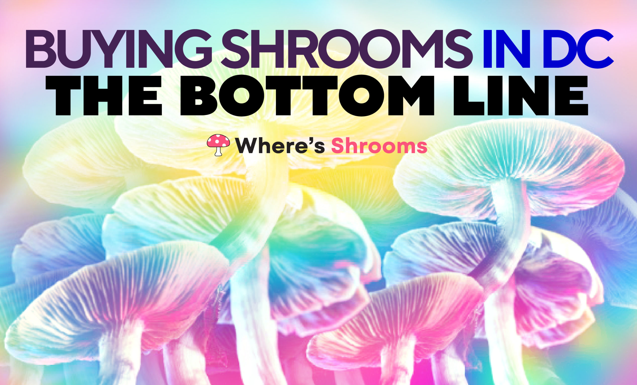 buying shrooms in dc - the bottom line