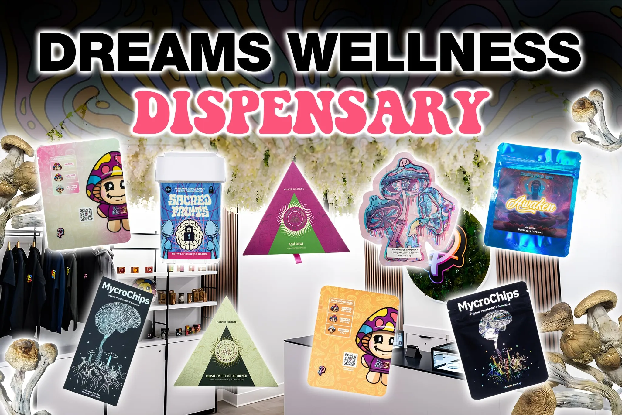 dream wellness dispensary