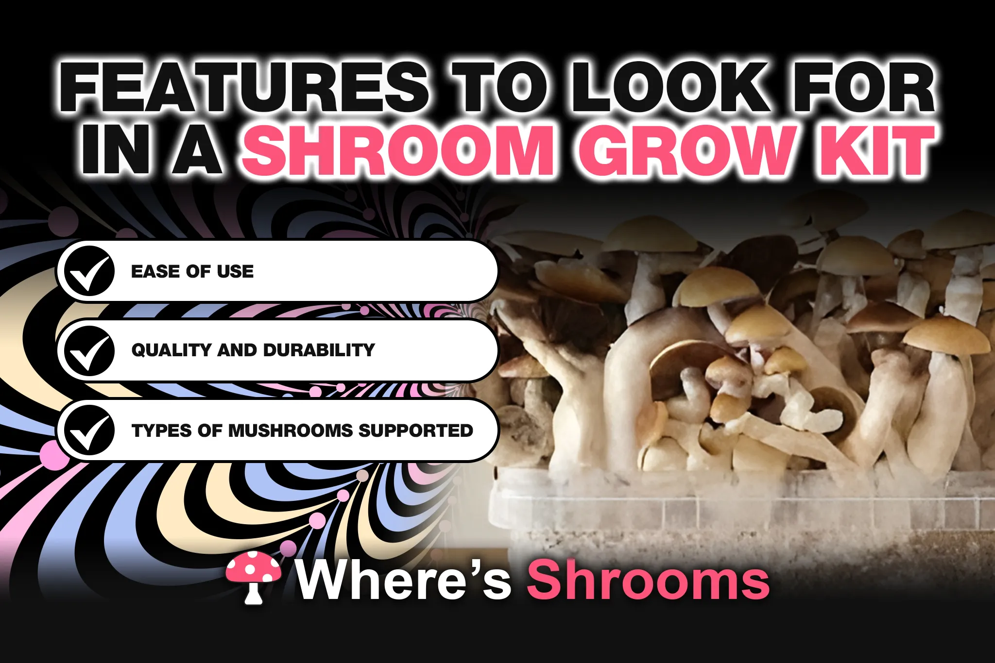 features to look for in a shroom grow kit