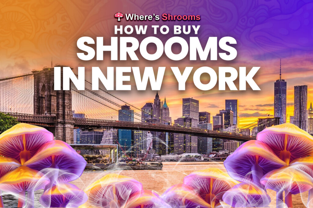 how to buy shrooms in new york