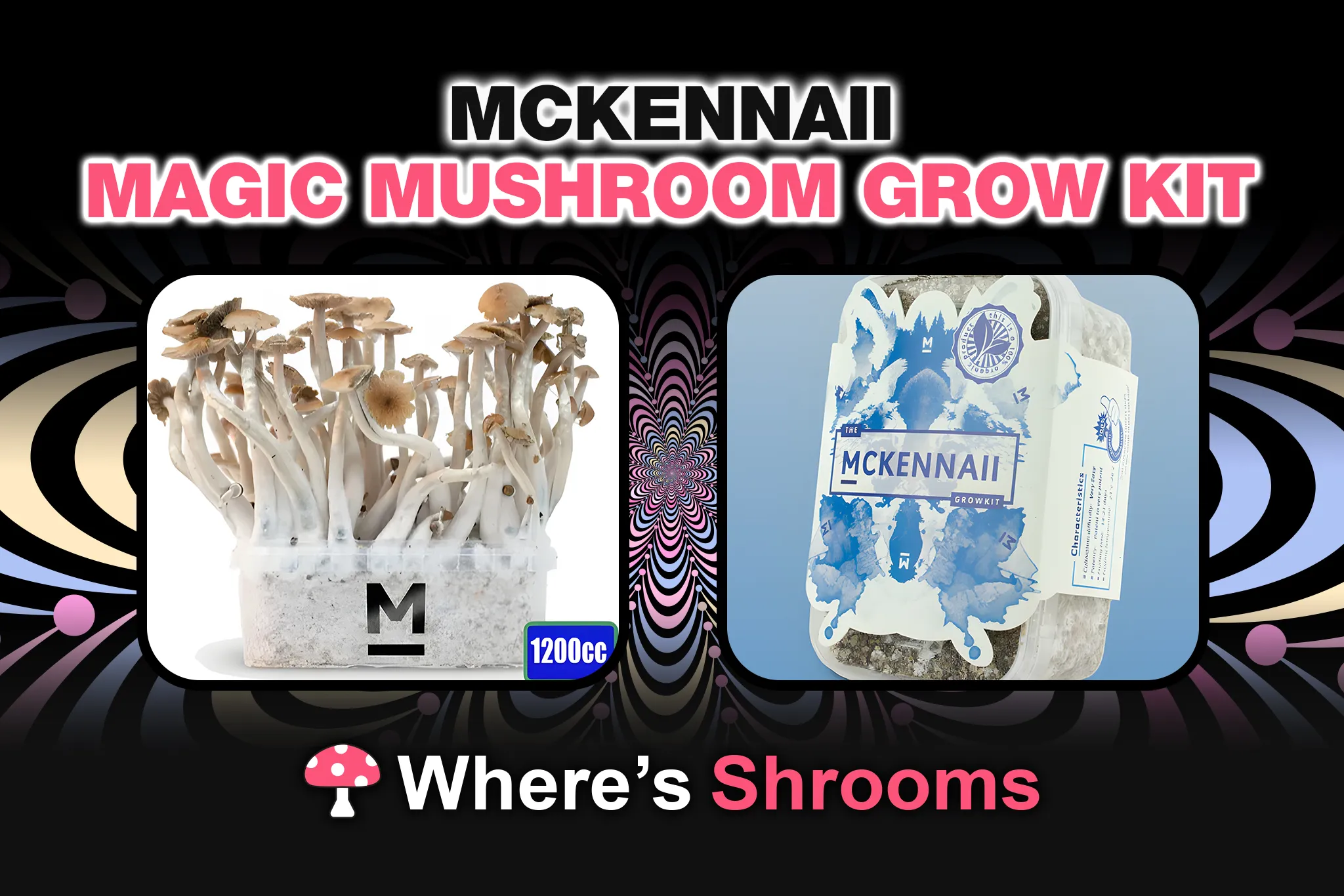 mckennaii magic mushroom grow kit
