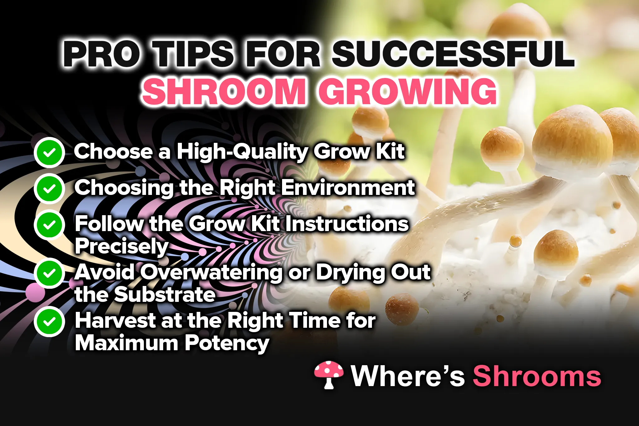 pro tips for successful shroom growing