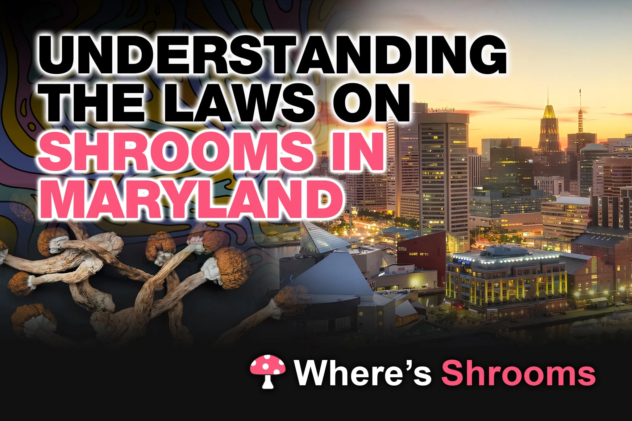 understanding the laws on shrooms in maryland
