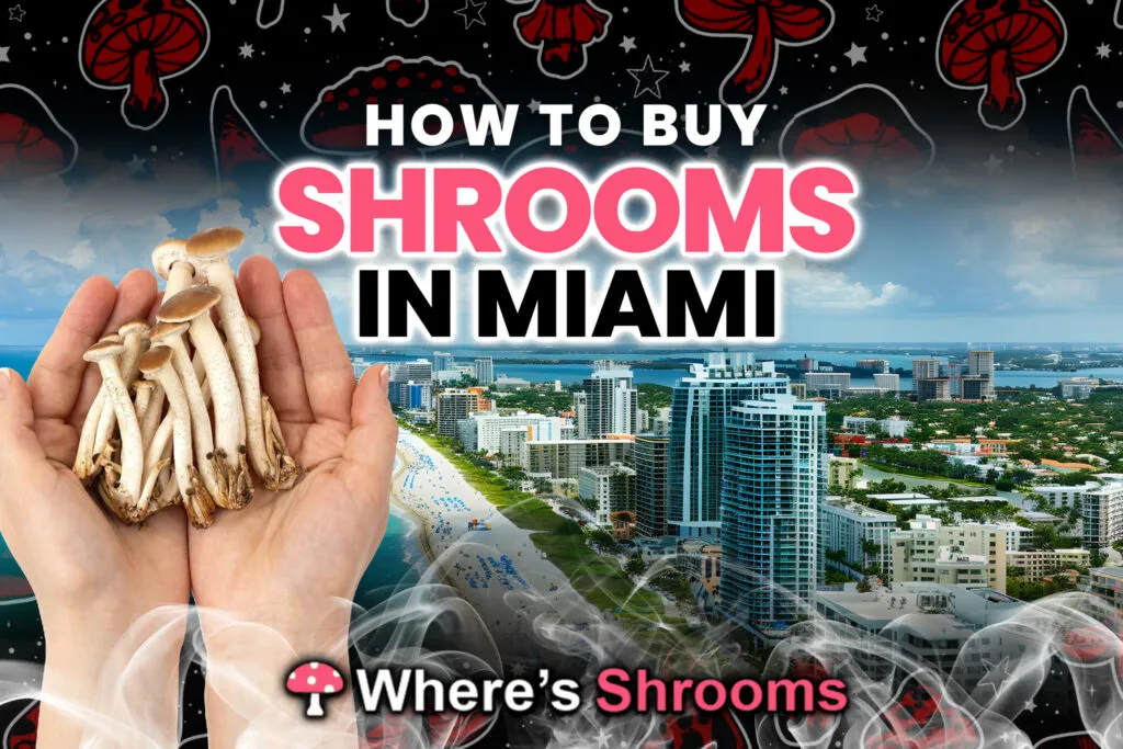 how to buy shrooms in miami