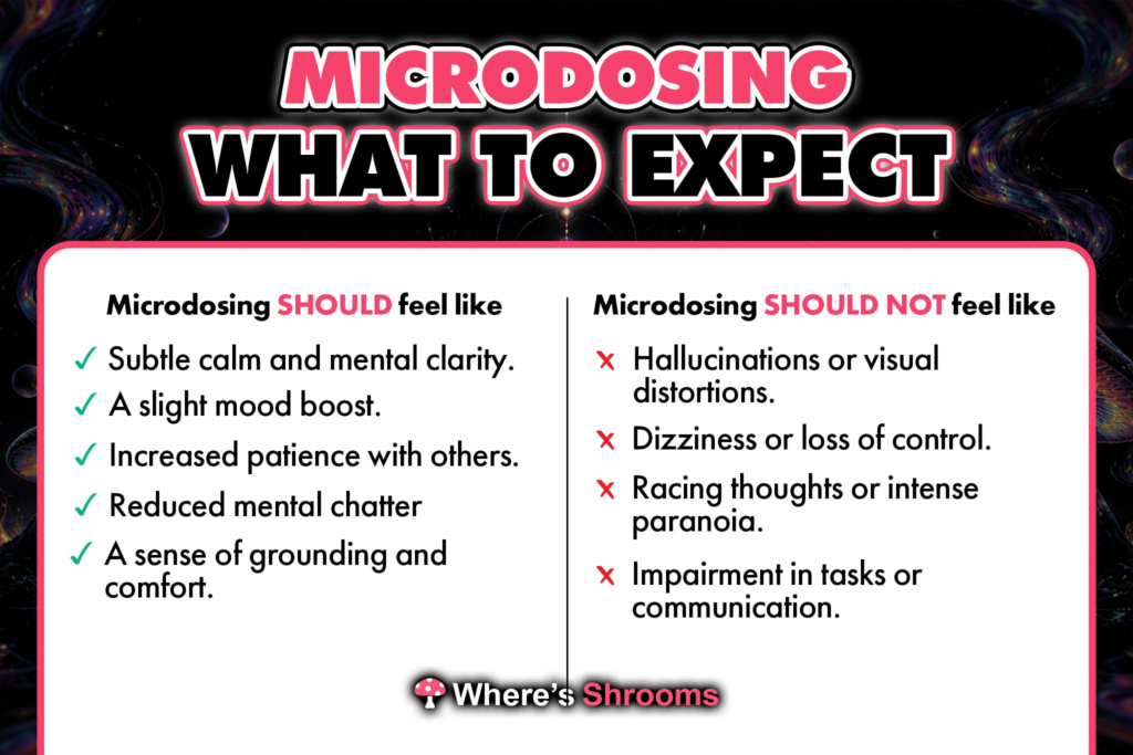 Effects of microdosing shrooms